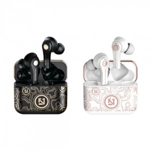 Tlhaloso: TS100 Tws Earbud